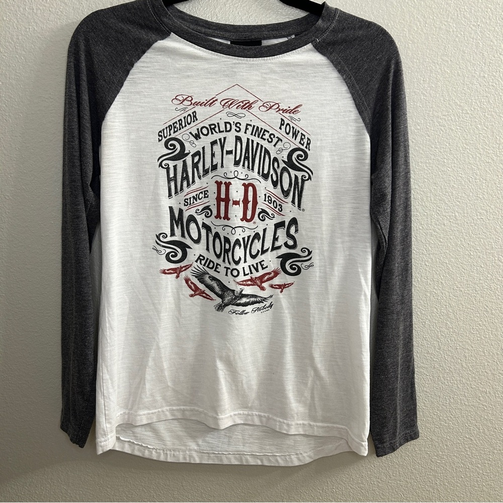 Harley-Davidson Gray and White Graphic Tee
